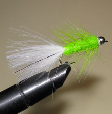 ���� Woolly Bugger  chartreuse / white � 6 